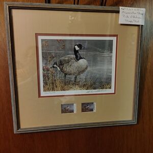 Canada Goose Informational Display in Black and White